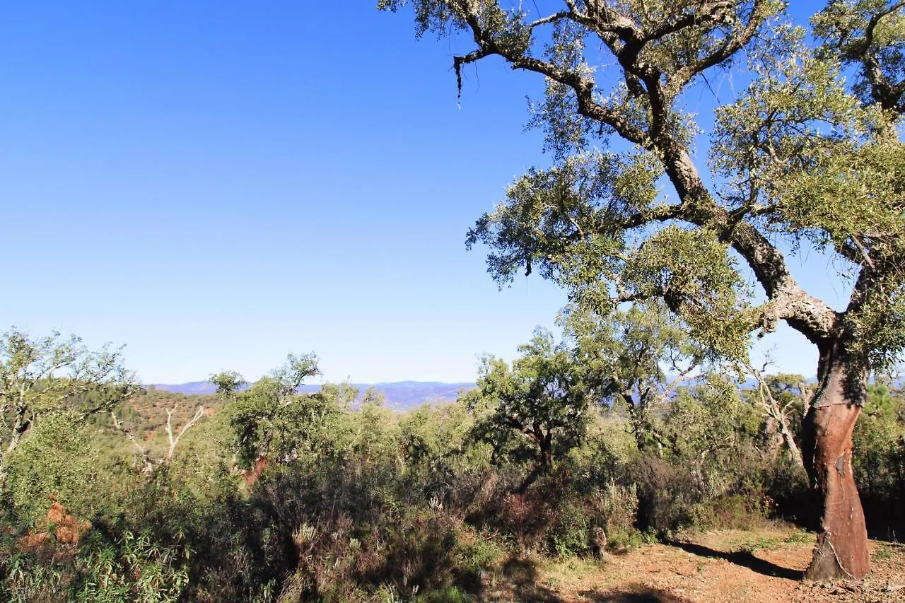 Finca Santa Ana - Only Adults By Sierra Viva Signature Cortelazor Spain